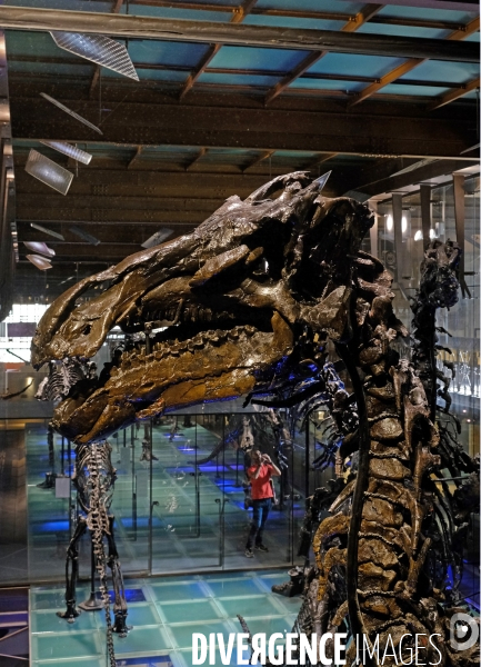 Au muséum des sciences naturelles
