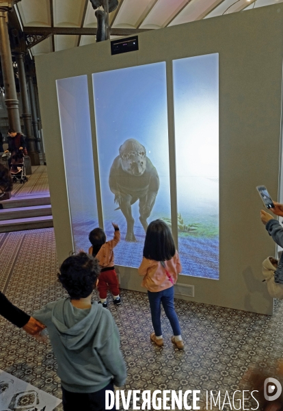 Au muséum des sciences naturelles