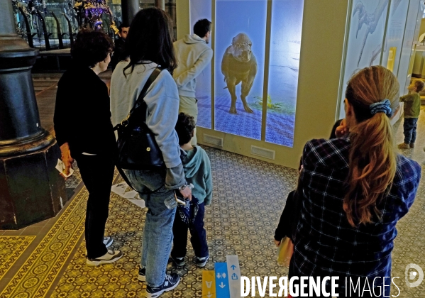 Au muséum des sciences naturelles