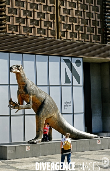 Au muséum des sciences naturelles
