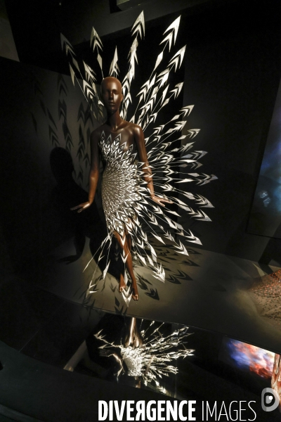 Exposition iris van herpen au musee des arts decoratifs