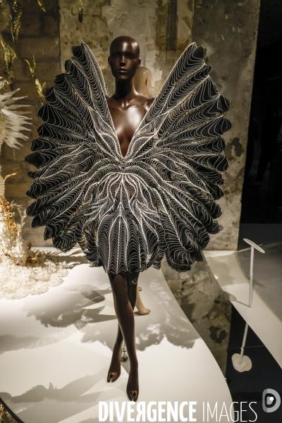 Exposition iris van herpen au musee des arts decoratifs