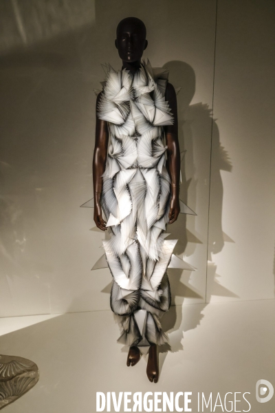 Exposition iris van herpen au musee des arts decoratifs