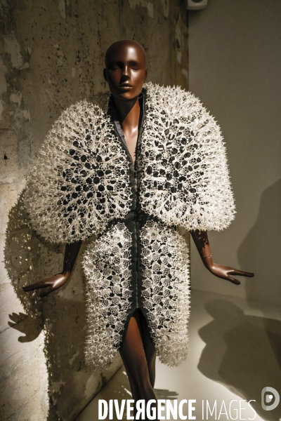 Exposition iris van herpen au musee des arts decoratifs