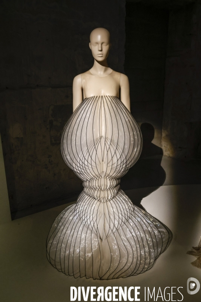 Exposition iris van herpen au musee des arts decoratifs