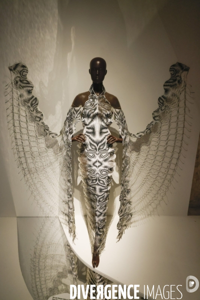 Exposition iris van herpen au musee des arts decoratifs