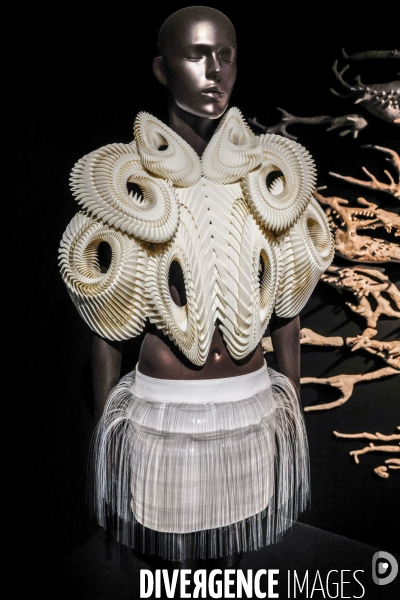 Exposition iris van herpen au musee des arts decoratifs