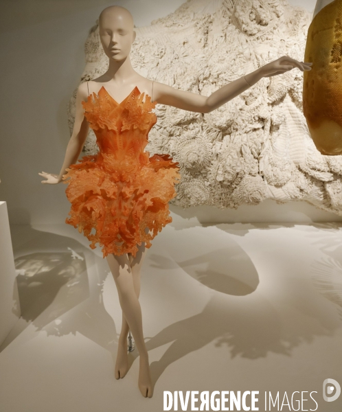 Exposition iris van herpen au musee des arts decoratifs