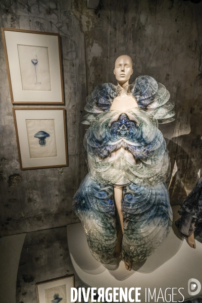 Exposition iris van herpen au musee des arts decoratifs
