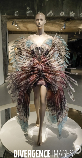 Exposition iris van herpen au musee des arts decoratifs