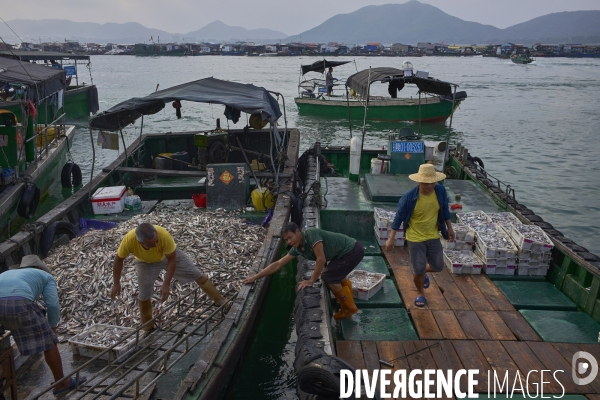 Les Tankas de Chine, de la mer à la terre.