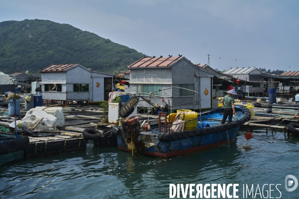 Les Tankas de Chine, de la mer à la terre.