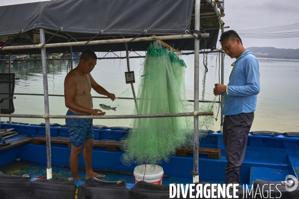 Les Tankas de Chine, de la mer à la terre.