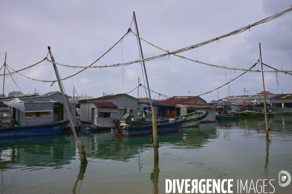 Les Tankas de Chine, de la mer à la terre.
