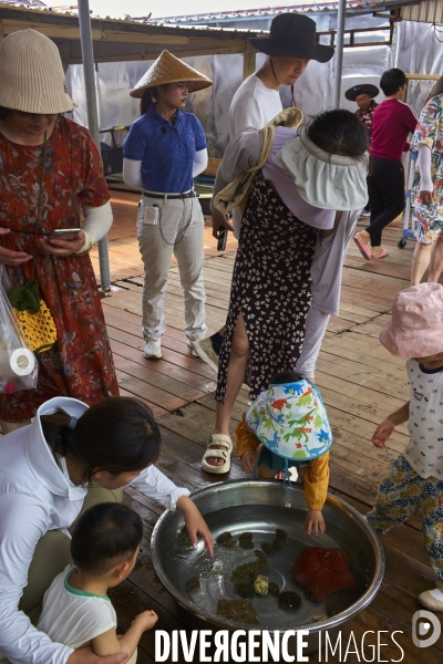 Les Tankas de Chine, de la mer à la terre.