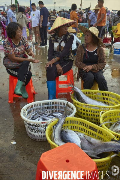 Les Tankas de Chine, de la mer à la terre.