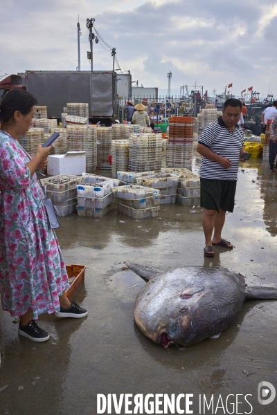 De la mer à la terre.