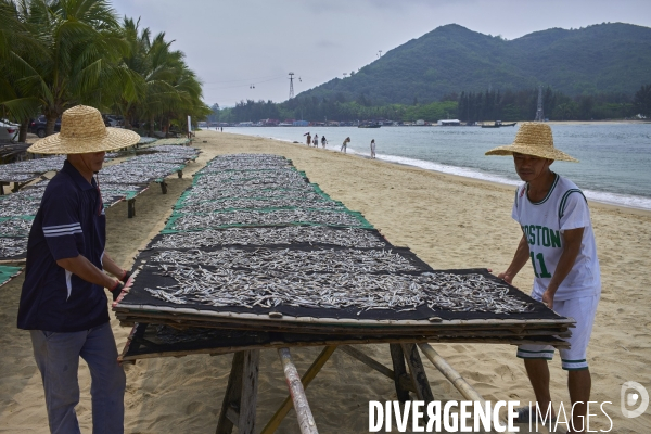 Les Tankas de Chine, de la mer à la terre.