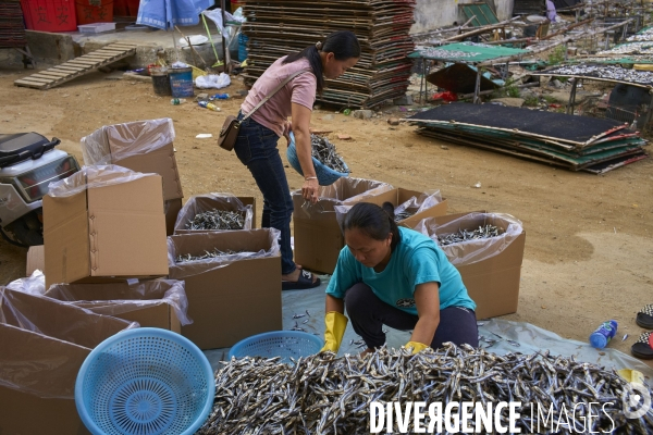 Les Tankas de Chine, de la mer à la terre.