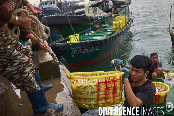 Les Tankas de Chine, de la mer à la terre.