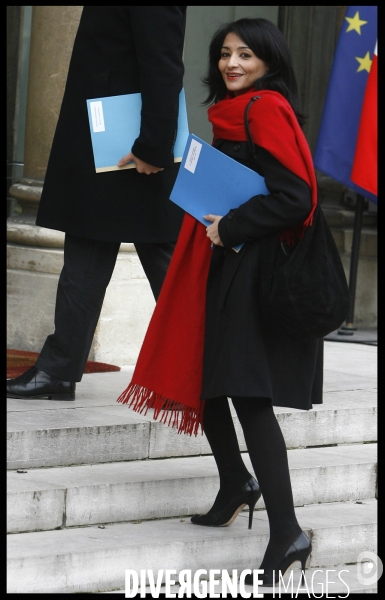 Premier conseil des ministres du nouveau gouvernement fillon