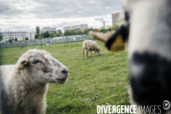 Tourisme, loisir et activites en Seine Saint Denis