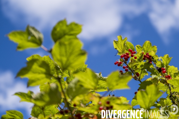 Tourisme, loisir et activites en Seine Saint Denis