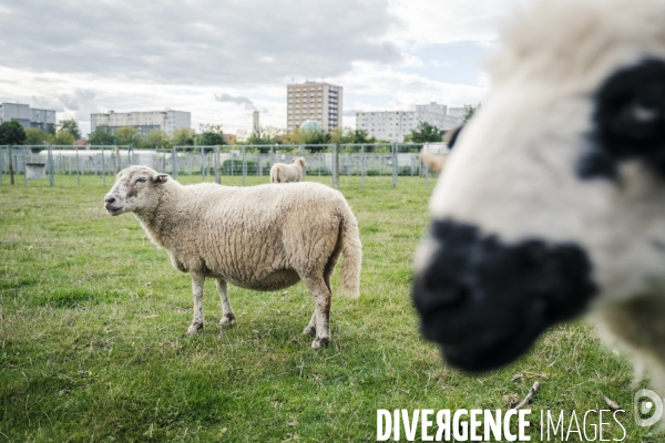 Tourisme, loisir et activites en Seine Saint Denis