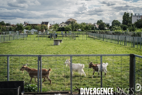 Tourisme, loisir et activites en Seine Saint Denis