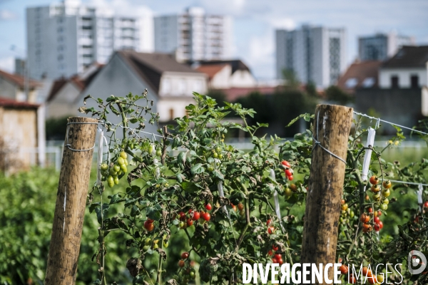 Tourisme, loisir et activites en Seine Saint Denis