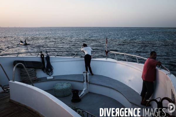 Croisiere de plongee sous marine en Egypte, Mer Rouge.