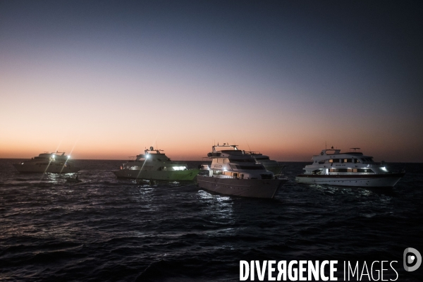 Croisiere de plongee sous marine en Egypte, Mer Rouge.