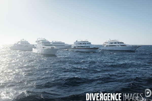 Croisiere de plongee sous marine en Egypte, Mer Rouge.