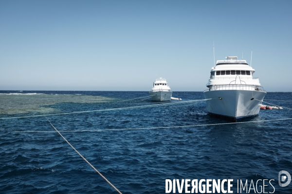 Croisiere de plongee sous marine en Egypte, Mer Rouge.