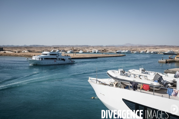 Croisiere de plongee sous marine en Egypte, Mer Rouge.
