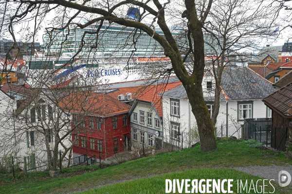 Stavanger