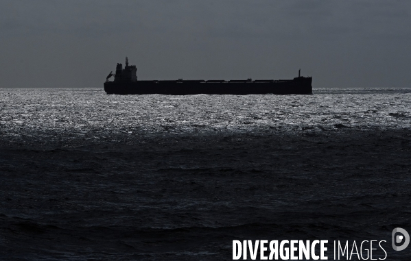A bord du M.V. Renaissance