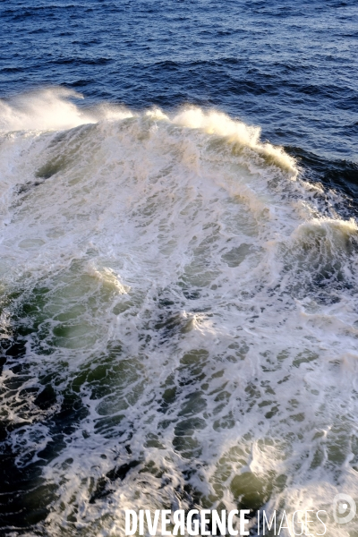 A bord du M.V. Renaissance