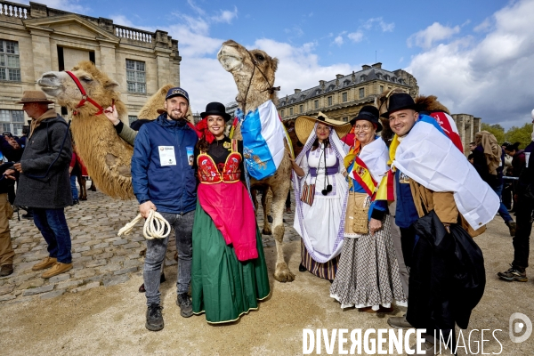L incroyable defilé
