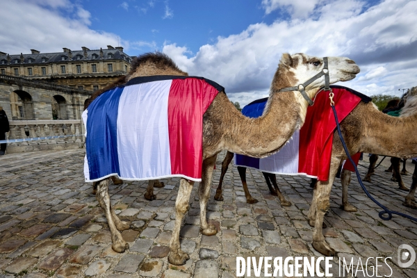 L incroyable defilé