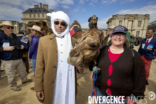 L incroyable defilé