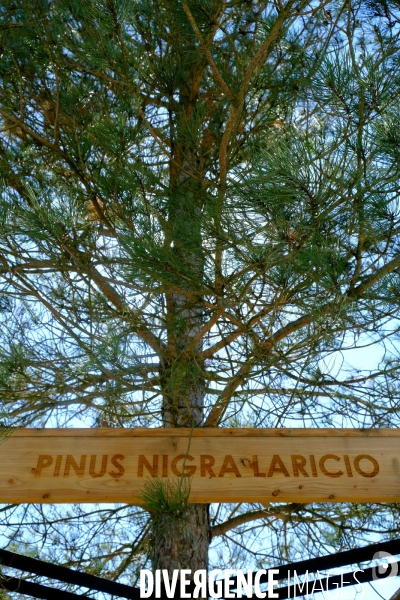 Paris : le pari de la nature