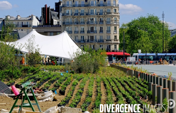 Paris : le pari de la nature
