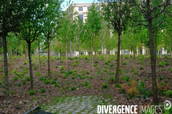 Paris : le pari de la nature
