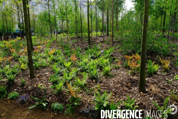 Paris : le pari de la nature