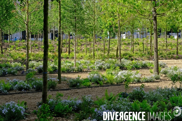 Paris : le pari de la nature
