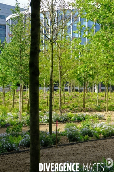 Paris : le pari de la nature