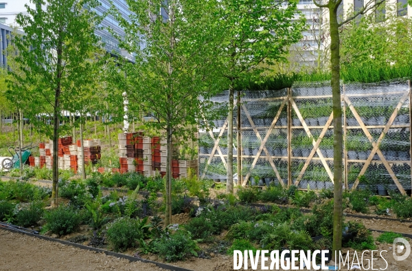 Paris : le pari de la nature