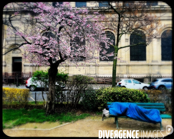 Sdf 