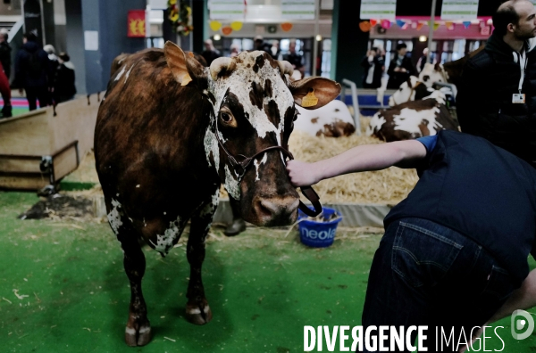 Salon de l agriculture 2024